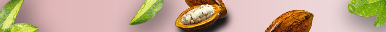 Beurre de cacao BIO - Econest